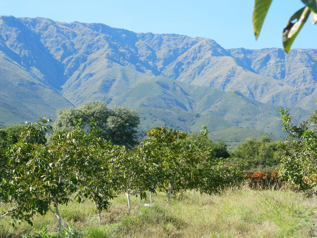 Finca La Julia Luyaba Extérieur photo